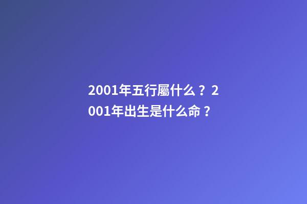 2001年五行屬什么？2001年出生是什么命？
